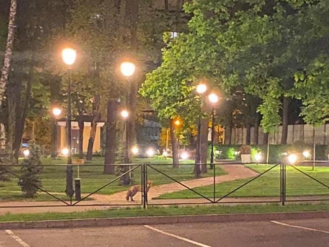 Тинний про результати зустрічі зі Шмигалем щодо зеленої енергетики: Розвитку економіки в найближчі роки не передбачається, нас чекає стагнація 02