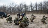 добровольці,контрнаступ