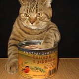 Завтрак хунты