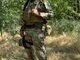Країна м`ясник.