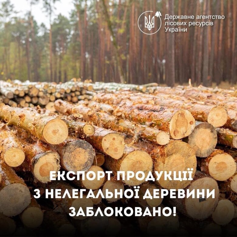 Е-сертифікат заблокував експорт з нелегальної деревини, - Держлісагентство 01