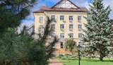 адоніс