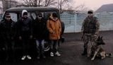 нелегалы
