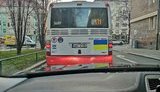 Весь общественный транспорт в Праге украсили флагами Украины. ФОТО