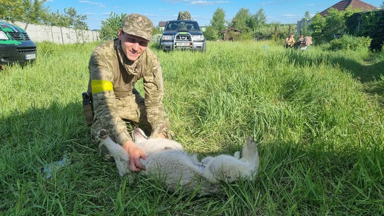 Олександр Довгий про бої в Бахмуті: Шурують, шурують, один упав, інший - переступив. За день один кулеметник знищив 75 вагнерівців 07