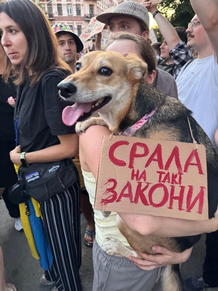 Собаки на мітингах