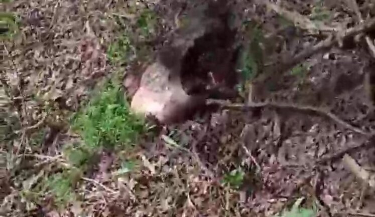 Occupiers from Russia’s 237th Regiment walk past bodies of their eliminated comrades: "Head is crushed. Pieces of person. Someone got torn apart". VIDEO