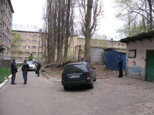 бузина