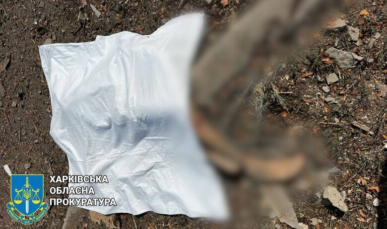 Окупанти завдали авіаудару по Глушківці на Харківщині. Загинула жінка