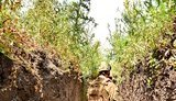 Найманці РФ використовують безпілотники для скидання гранат на позиції захисників Маріуполя, - Міноборони