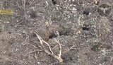 війна
