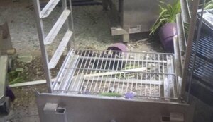 Обладнання волонтерської пекарні пошкоджено під час обстрілу Херсону: замовляється все необхідне для відновлення роботи. ФОТО