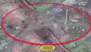 Поле засіяне трупами окупантів на Покровському напрямку. ВIДЕО