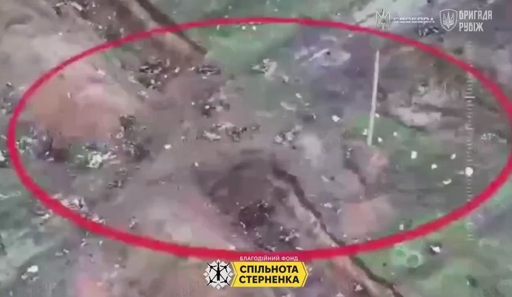 Поле засіяне трупами окупантів на Покровському напрямку. ВIДЕО