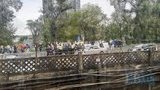 протест