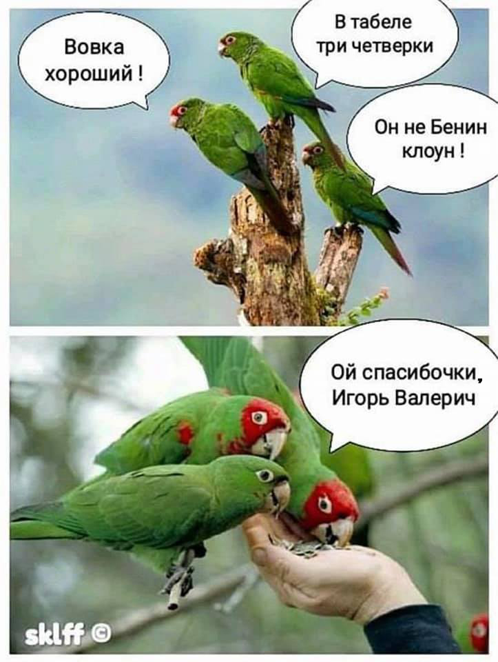 В студии 1+1