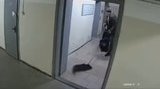 Особу чоловіка, який побив собаку в під