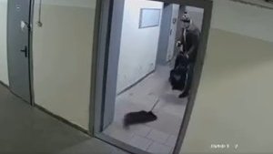 Личность мужчины, избившего собаку в подъезде столичной многоэтажки, установлена. Возбуждено уголовное производство, - Нацполиция