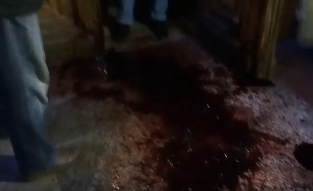 потап настя