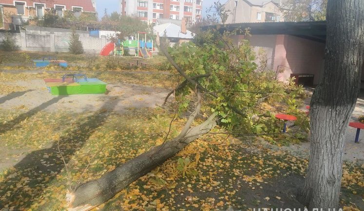 Двое детей госпитализированы с травмами из-за падения дерева на территории детсада в Кременчуге, - Нацполиция. ФОТО