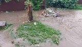 На Маріуполь обрушилася потужна злива: вулиці перетворилися на річки, затоплено будинки й повалено дерева. ВІДЕО+ФОТОрепортаж