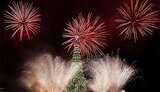 В Рио-де-Жанейро зажгли самую большую &amp;quot;плавучую&amp;quot; елку в мире весом 530 тонн. ФОТОрепортаж.