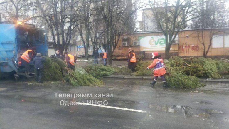 Підприємці лишили понад 5 тис. непроданих ялинок на вулицях Одеси 02