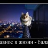 Петр Петров #342308