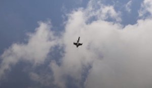 Запускаємо новий рівень "малої" ППО: керування перехоплювачами на відстані тисячі кілометрів, - Федоров. ВIДЕО