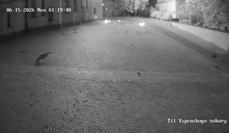 Moment of Russian strikes on Kyiv-Pechersk Lavra. VIDEO