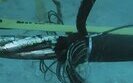 Кабель Ростелекома порвался в Балтийском море