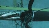 Кабель Ростелекома порвался в Балтийском море