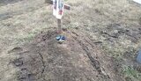 діти