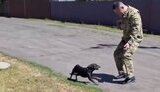 війна