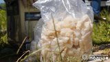 Спецоперация Нацполиции на Львовщине: задержаны 16 участников наркогруппировки, изъяты наркотики на 110 млн грн. ВИДЕО+ФОТО