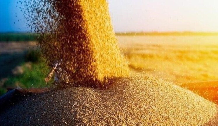 Poland wants to check all grain from Ukraine in transit to other countries