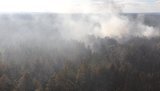 Another arson in Stanytsia-Luhanska area: fire approaching electrical substation, unexploded ordnance detonates