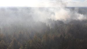 Another arson in Stanytsia-Luhanska area: fire approaching electrical substation, unexploded ordnance detonates