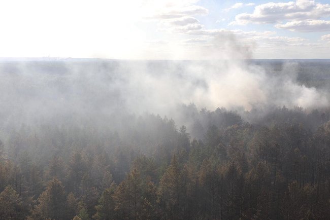 Поліція оцінює обсяг збитків, завданих лісовою пожежею на Луганщині, - Аваков 06 Поліція оцінює обсяг збитків, завданих лісовою пожежею на Луганщині, - Аваков 06