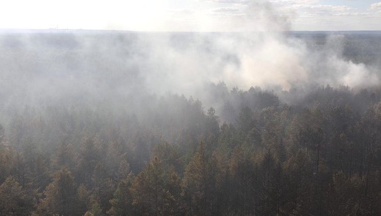 Another arson in Stanytsia-Luhanska area: fire approaching electrical substation, unexploded ordnance detonates