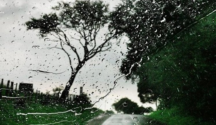 Bad weather shows no sign of abating: dangerous conditions are set to persist in Ukraine for another two days