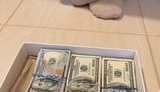 При получении взятки задержаны чиновники Минюста - глава и заместитель управления аккредитации, контроля и мониторинга, - Луценко. ФОТО
