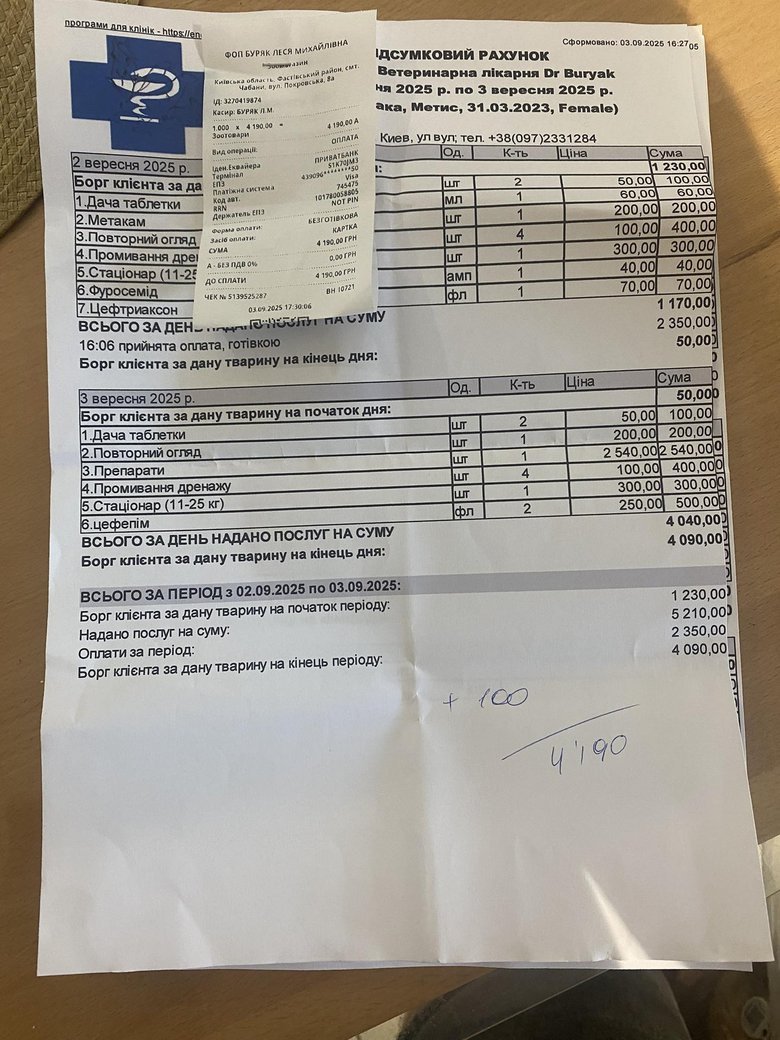 В Киевской области алабай Бориса Шефира напал на маленькую собаку
