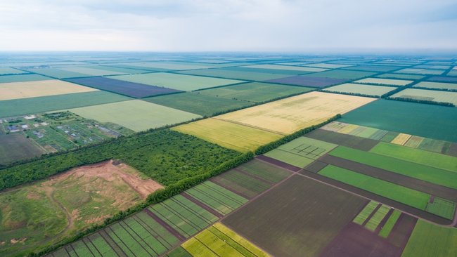 ukrainskuyu-zemlyu-obrabatyvaet-bolee-50-inostrannyx-investorov-moratorij-s/x-zemlya-mixail-amosov-land-matrix 01