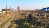 Жители села Красиловка на Киевщине протестуют против вырубки деревьев вдоль трассы, проходящей через населенный пункт. ДОКУМЕНТ+ФОТО