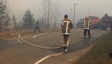 В зоне отчуждения ЧАЭС горят торфяники, - глава Ассоциации чернобыльских туроператоров Емельяненко