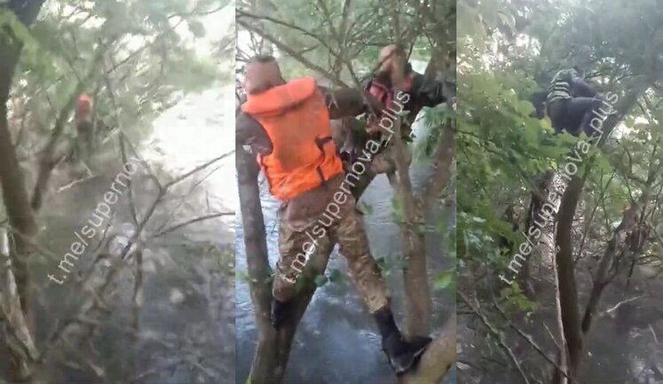 Occupiers sit on trees, escaping from flooding after explosion of Kakhovka HPP. VIDEO