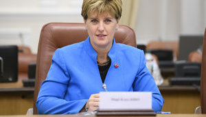 Канада щороку виділяє до 50 млн канадських доларів на підтримку соціально-економічних програм в Україні, - Бібо