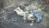Раненый оккупант взорвал себя гранатой, засунув ее под бронежилет во время штурма на Гуляйпольском направлении. ВИДЕО