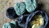 На Прикарпатье ликвидирована нарколаборатория, изъято 80 кг прекурсоров и 45 кг марихуаны, - Нацполиция. ФОТО